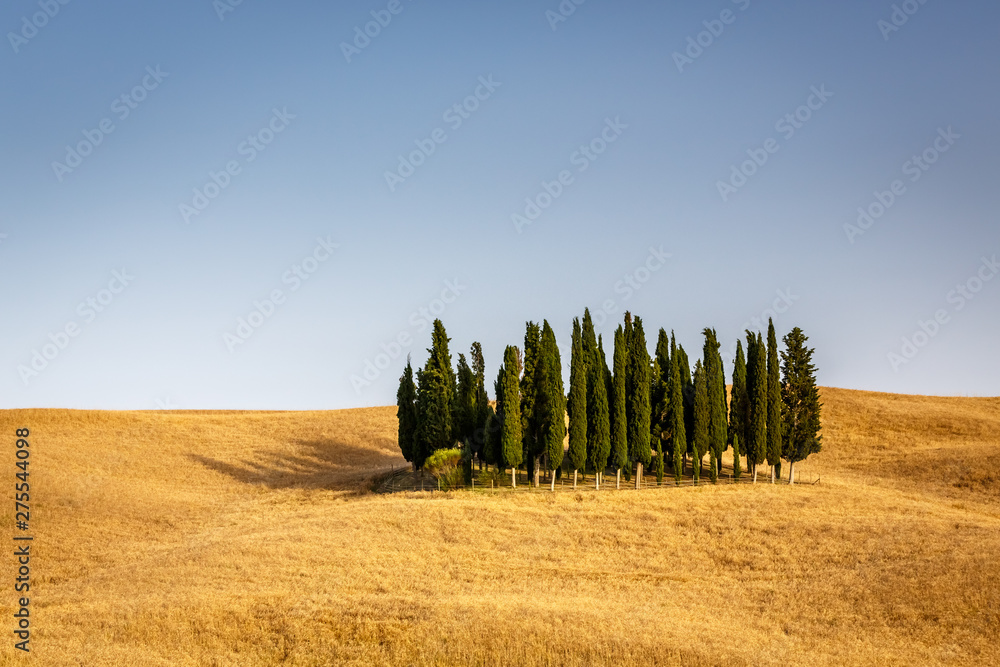 Obraz premium Typical view of countryside, Tuscany, Italy