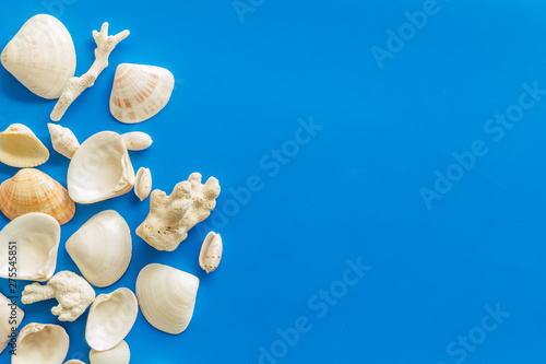 shells and seaside background for blog or desktop on blue table top view mock-up