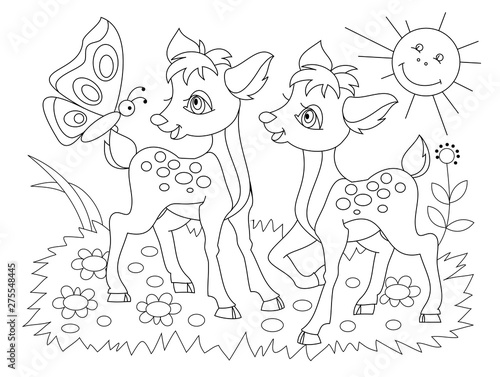 Black and white page for baby coloring book. Drawing of two cute fawns playing on the meadow. Printable template for kids. Worksheet for children and adults. Hand-drawn vector image.