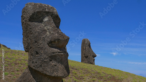 COPY SPACE: Flying shot of interesting moai statues scattered around grassy hill