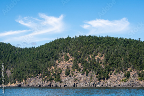 Hillside covered in evergreen trees on a rocky island, blue clouds and white puffy clouds reflected in the sea water, as a nature background, San Juan Islands