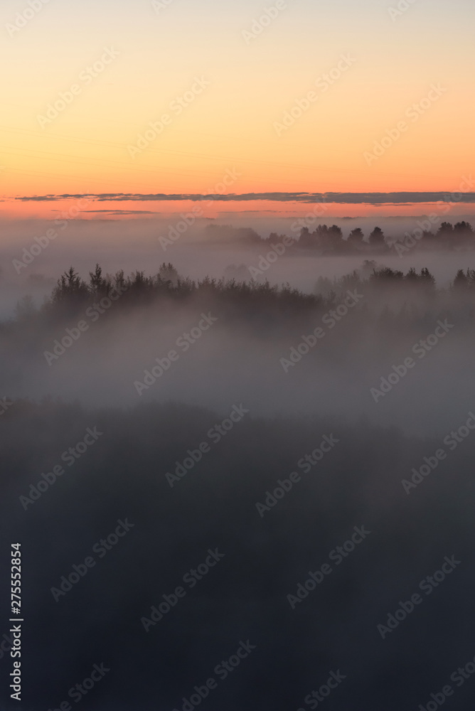 Midnight fog Midnight fog