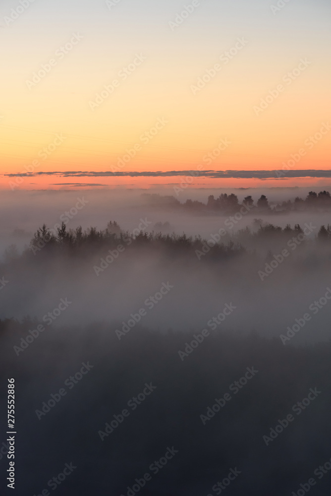 Fototapeta premium Midnight fog