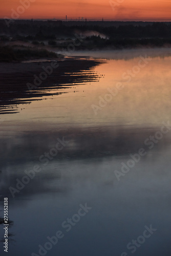 Birds in the summer night on the river bank.