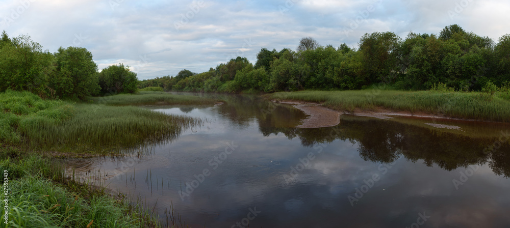 Obraz premium Overgrown bank of the river