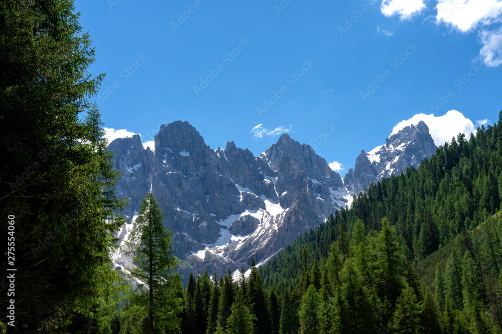 Pale di San Martino range panorama landscape during summer season. Passo Rolle summer landscape - Pale di San Martino range. Trentino Alto Adige. Mountain landscape in summer, Italian Dolomites.