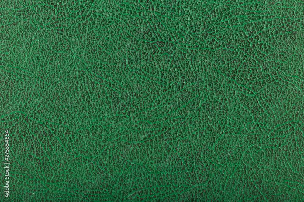 Texture of green skin with black patches. Texture of green skin with black patches.