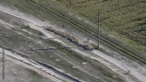 Roads and power lines converge, a Herd of sheep moving rapidly along the road towards the village. Roadway Network. All roads lead to Rome. Aerial survey photo