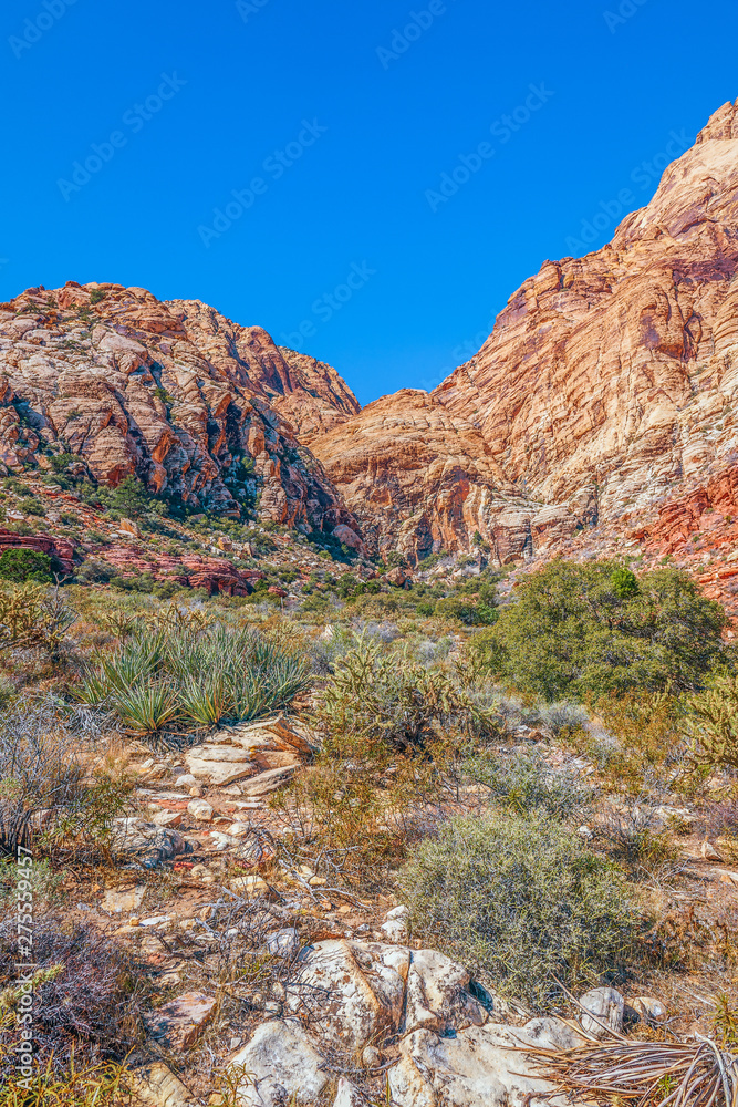 Sandstone Canyon Loop Trail in Spring Mountain Ranch State Park.Nevada.USA