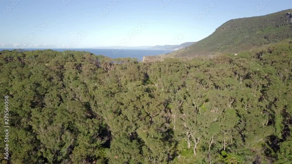 Aerial Forward: Forest Covered Hills At Edge Of Vast Blue Ocean, Royal National Park, Australia Aerial Forward: Forest Covered Hills At Edge Of Vast Blue Ocean, Royal National Park, Australia