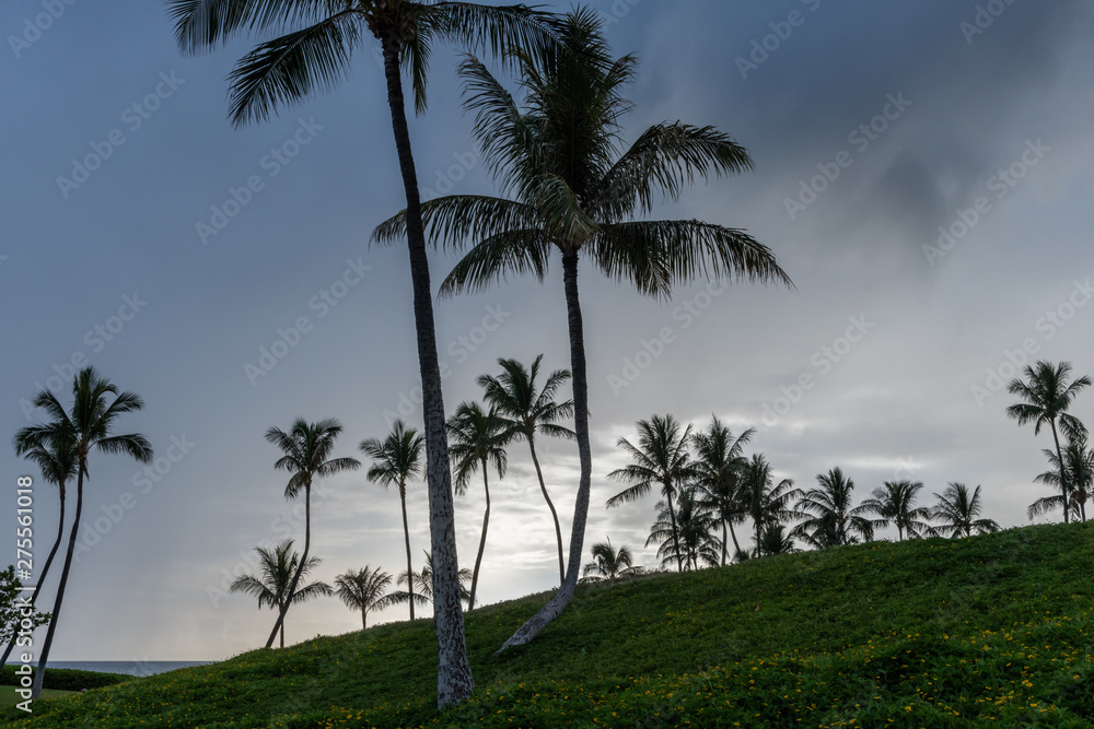 Beautiful Oahu vista at sunset, Hawaii