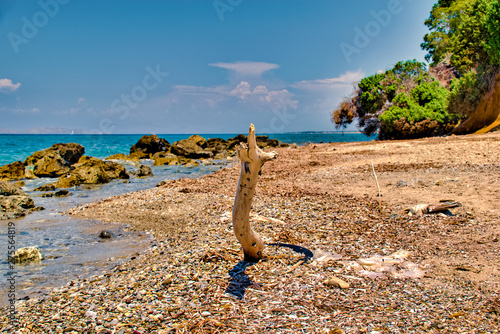 Driftwood on the beach on the island of Kos in Greece
