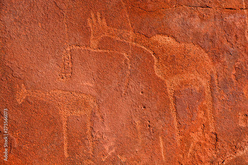 Petroglyphs in Twyfelfontein (Afrikaans: uncertain spring), officially known (Damara/Nama: jumping waterhole), is a site of ancient rock engravings in the Kunene Region of north-western Namibia. photo