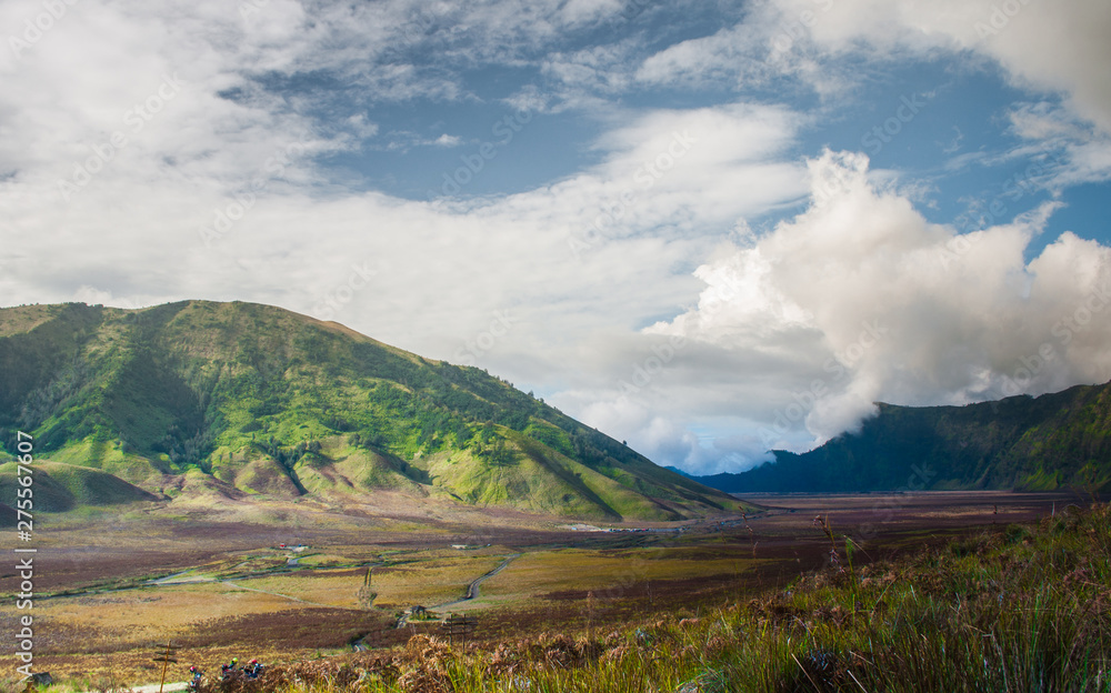 bromo savana bromo savana