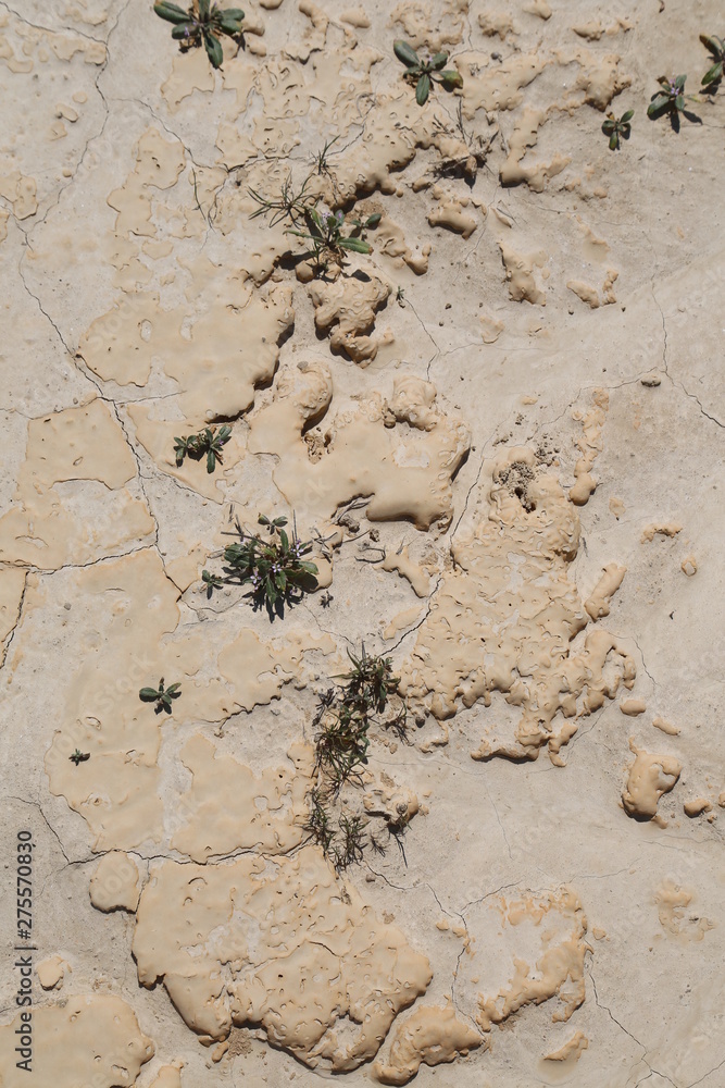 surface of arid zone surface of arid zone