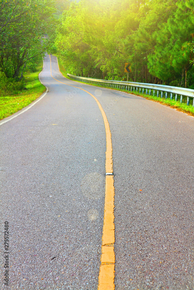 Obraz premium Road in the pine forest, number 1090, travel to Thee Lor Su Waterfall, Umphang District, Thailand 