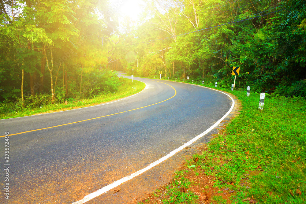 Obraz premium Road in the pine forest, number 1090, travel to Thee Lor Su Waterfall, Umphang District, Thailand 