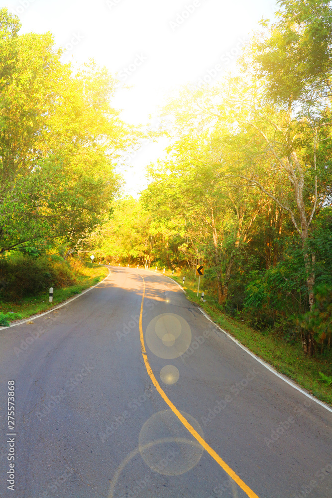 Fototapeta premium road in autumn