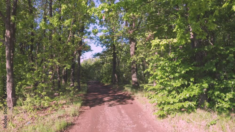 Aerial approach shot of the forest.Road for cars leading to the forest. Sunny day in a quiet place. Aerial approach shot of the forest.Road for cars leading to the forest. Sunny day in a quiet place.