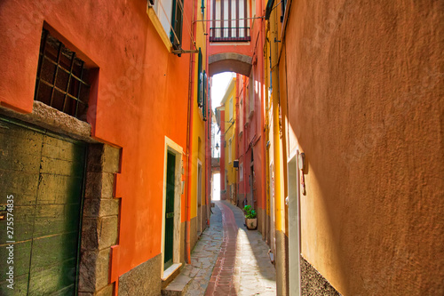 Fototapeta Naklejka Na Ścianę i Meble -  Manarola colorful scenic streets