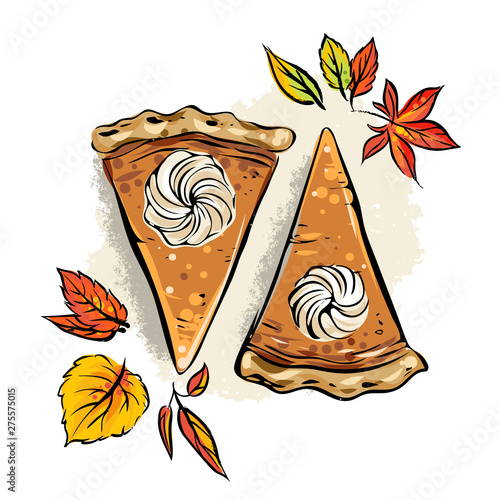 Pumpkin pie vector illustration