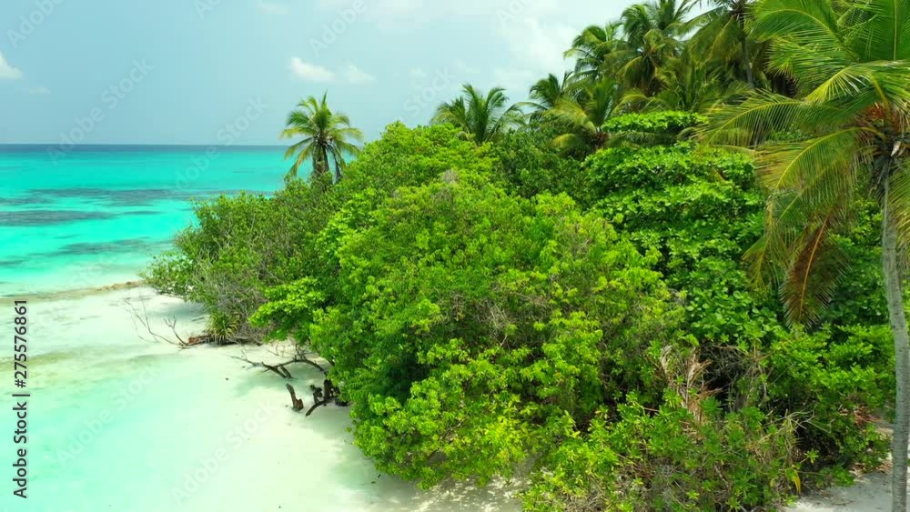 Aerial view, flying at tree height sideways. A tropical island with palm trees on it. Shallow turquoise water and a beach next to it In Philippines, Truck left Aerial view, flying at tree height sideways. A tropical island with palm trees on it. Shallow turquoise water and a beach next to it In Philippines, Truck left
