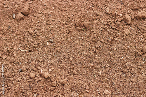 Brown soil close up, texture, natural background, view from above