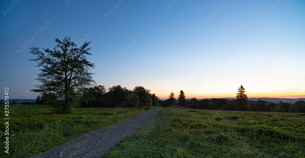 Fototapeta premium a german Beauty Rothaar Mountains