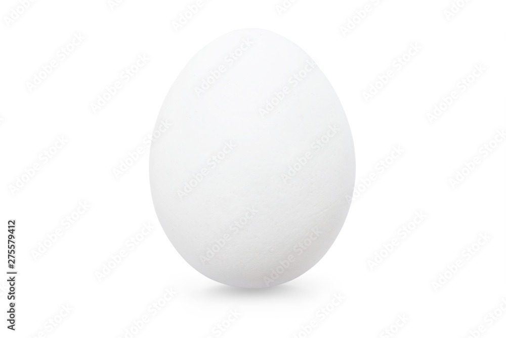 White Egg. Single Chicken Egg Isolated on White. Full Depth of Field White Egg. Single Chicken Egg Isolated on White. Full Depth of Field