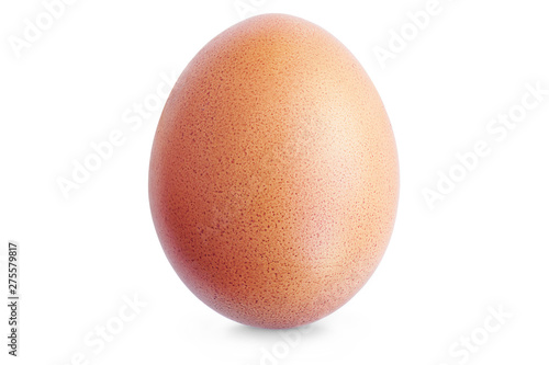 Brown Egg. Single Chicken Egg Isolated on White. Full Depth of Field