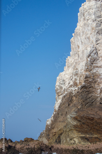 Un par de aves volando cerca de una roca en el Mar