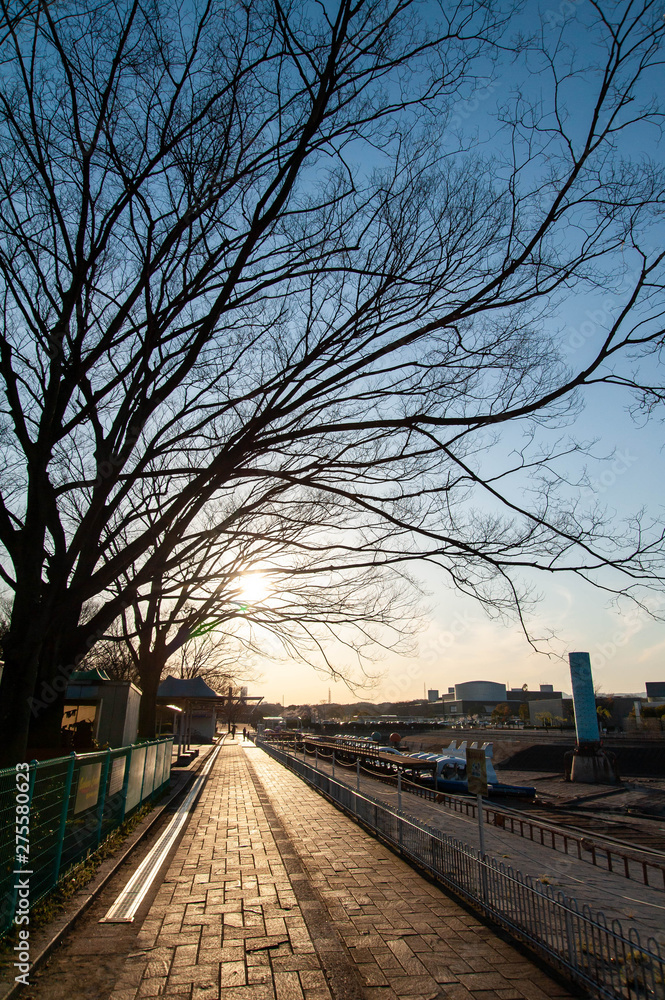 Fototapeta premium 太陽に向かって伸びる長い歩道