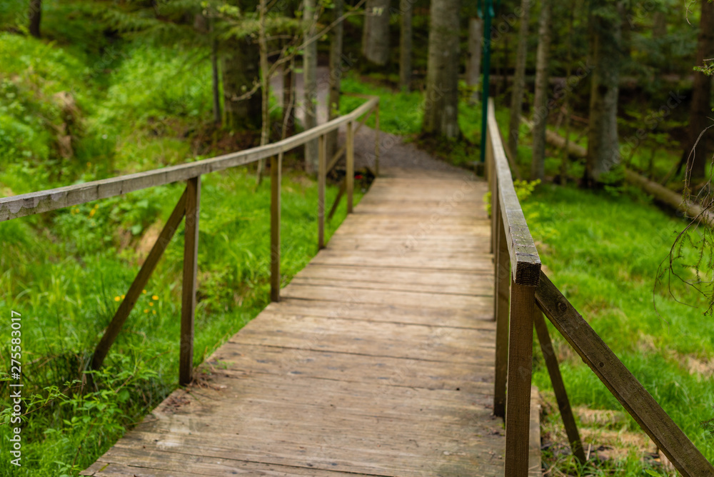 Fototapeta premium The beautiful wooden bridge through the forest mountain river