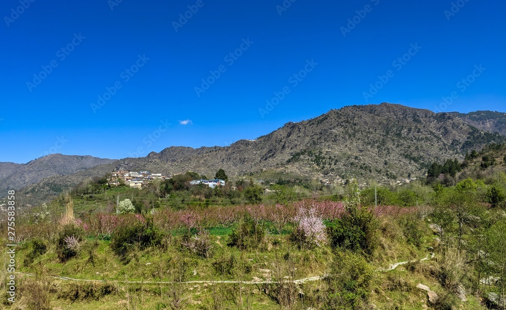 greenery spring and mountains greenery spring and mountains