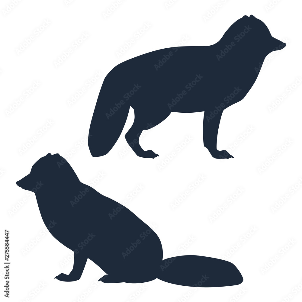 Silhouettes of standing and sitting arctic foxes isolated on white background. Vector illustration EPS 8