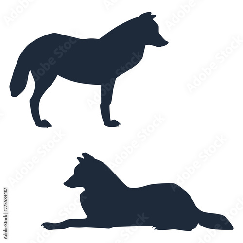  Silhouettes of standing and lying arctic wolves isolated on white background. Vector illustration EPS 8