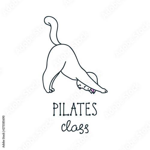 Pilates class. Illustration of cute white cat stretching exercises isolated on white background. Vector 8 EPS.