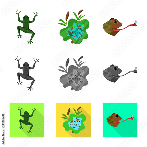 Vector illustration of wildlife and bog symbol. Set of wildlife and reptile stock symbol for web.