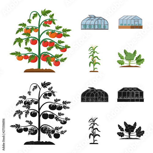 Isolated object of greenhouse and plant sign. Set of greenhouse and garden stock vector illustration.