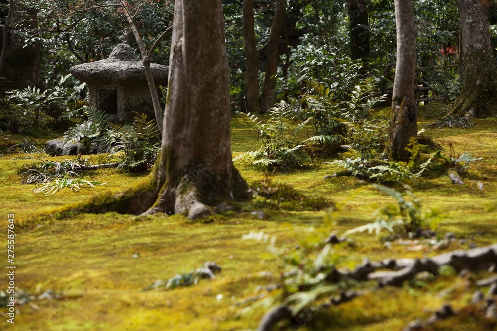 苔で覆われた日本庭園stock Photo Adobe Stock
