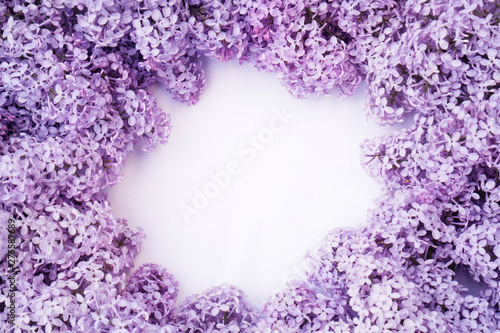 The beautiful lilac on a white background. Round composition, copyspace. For design of cards, invitations, wedding backgrounds