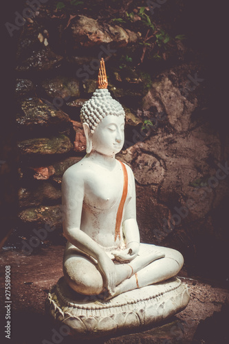 Buddha statue in jungle, Wat Palad, Chiang Mai, Thailand photo