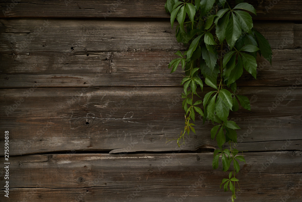 dark wood board use for background dark wood board use for background
