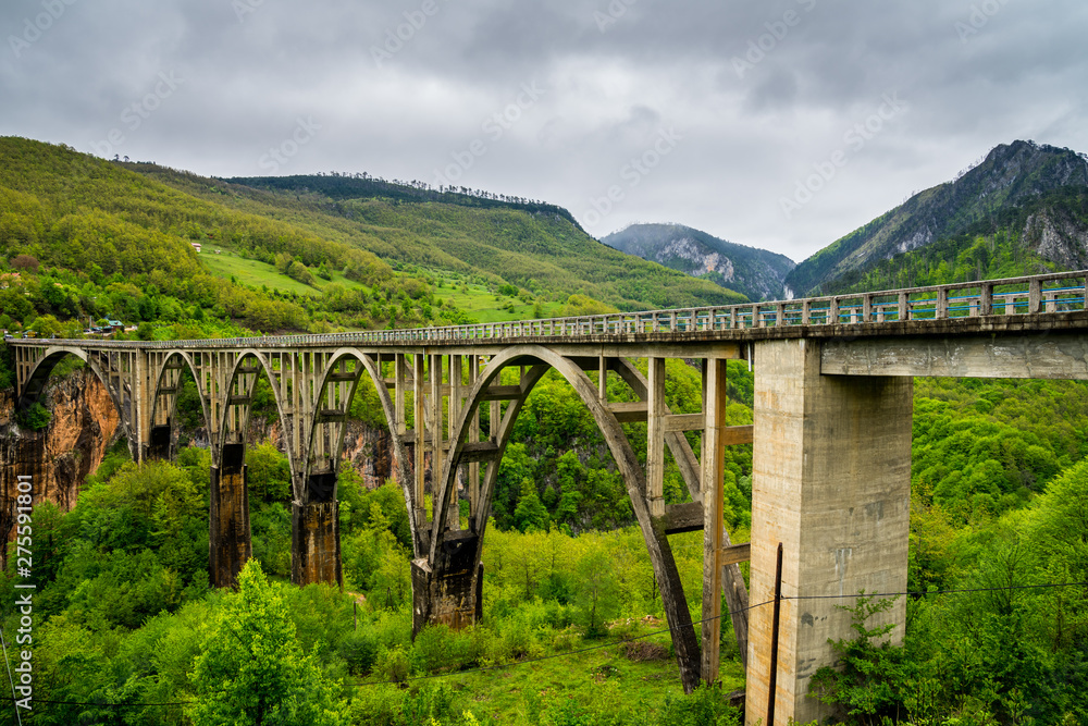 Montenegro, World famous old durdevica tara bridge building allowing traffic to drive over worlds second largest canyon, the tara canyon in green nature scenery