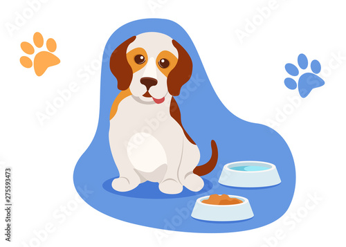 Small beautiful puppy sits near bowls of water and food.