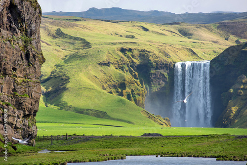 Skogafoss waterfall in Iceland