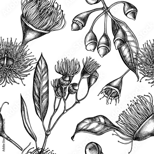 Seamless pattern with black and white eucalyptus flower