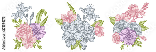 Flower bouquet of pastel anemone, iris japonica, sakura