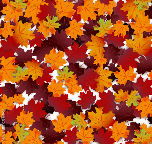 Autumn leaves seamless vector design background. Fall color nature background.