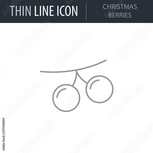 Symbol of Christmas Berries. Thin line Icon of Merry Christmas. Stroke Pictogram Graphic for Web Design. Quality Outline Vector Symbol Concept. Premium Mono Linear Beautiful Plain Laconic
